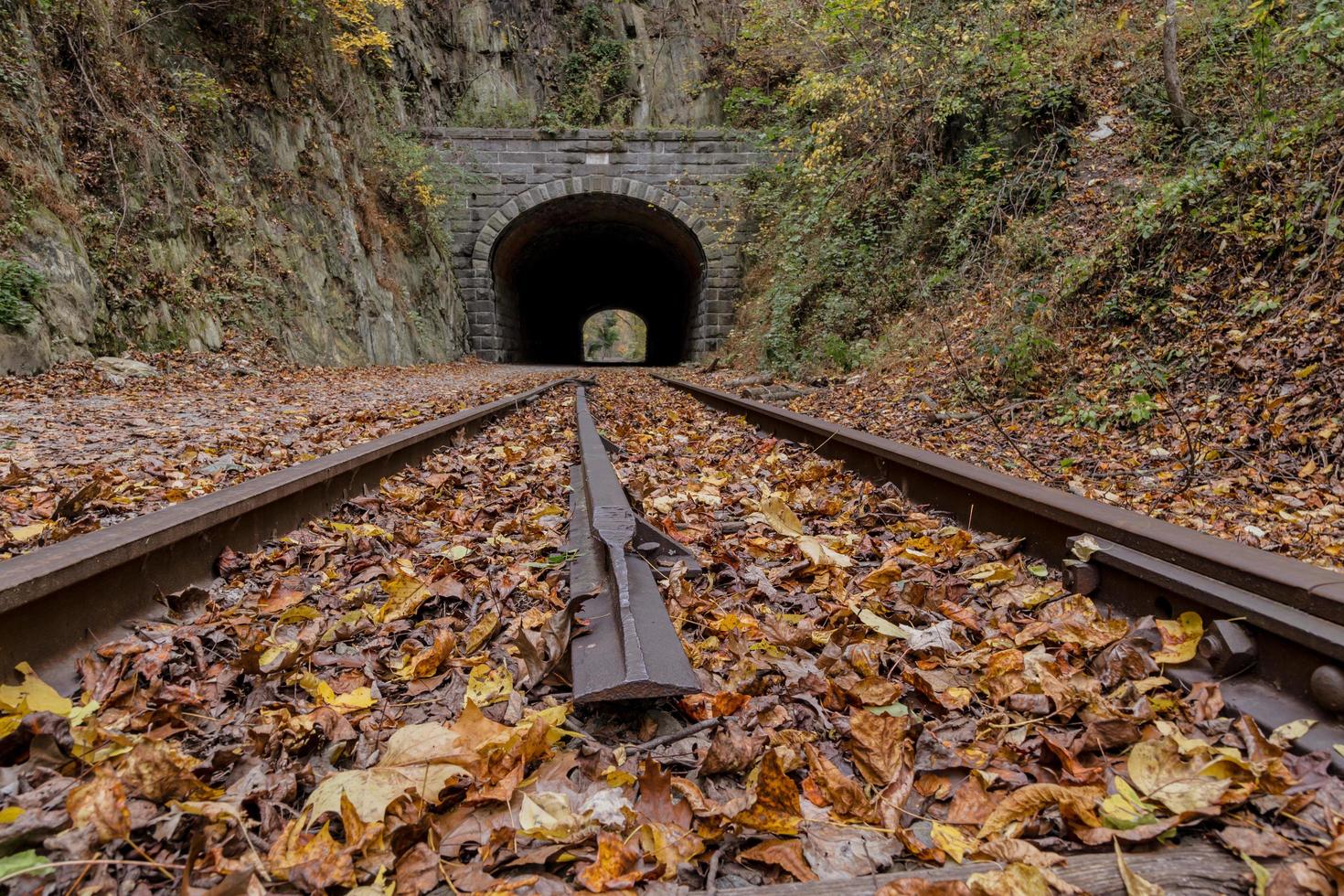 Tunnel and railroad track in autumn photo