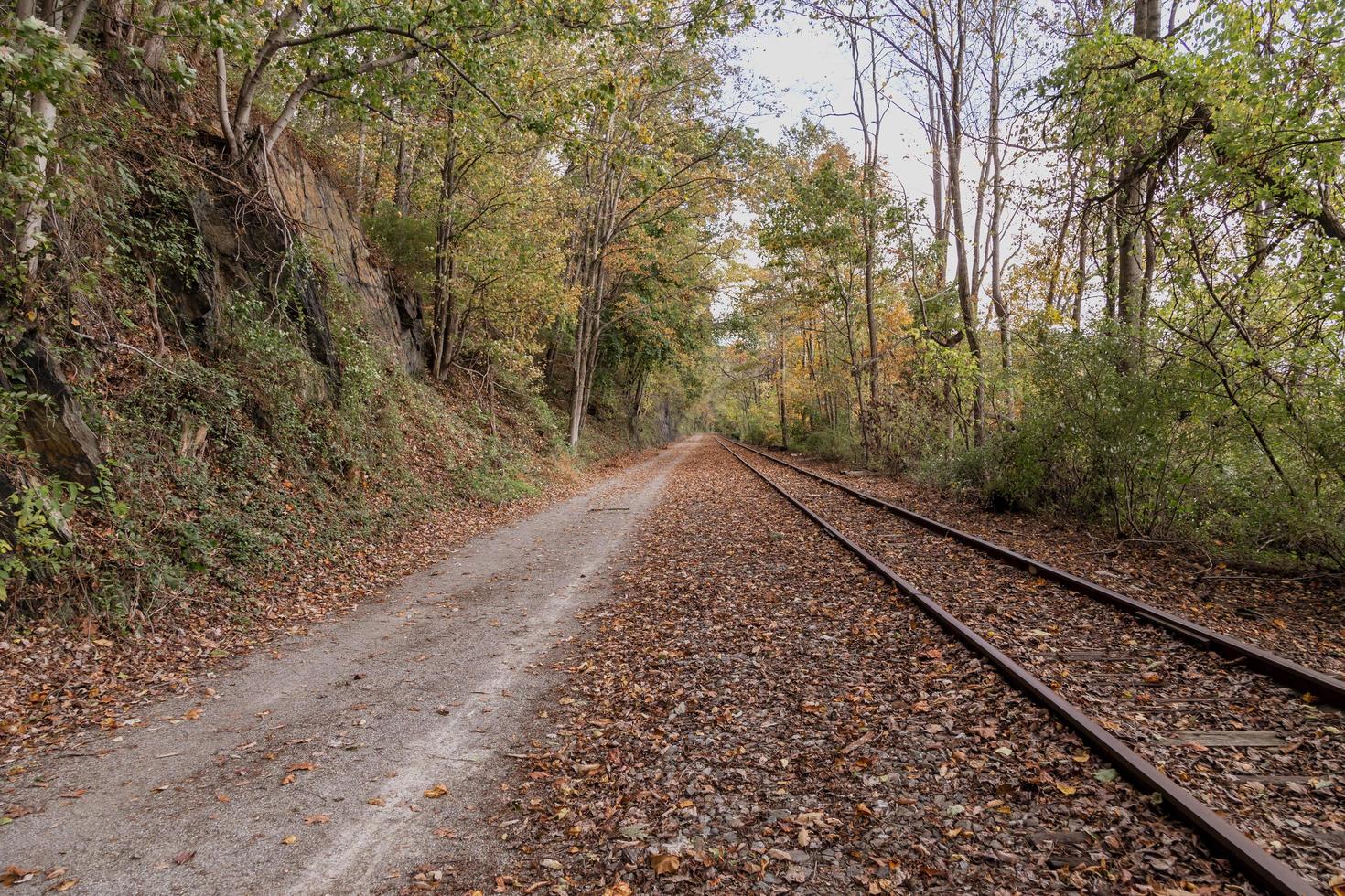 Railroad track in autumn photo