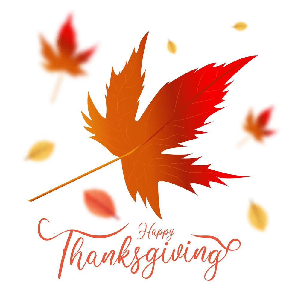 Happy Thanksgiving message and maple leaves vector