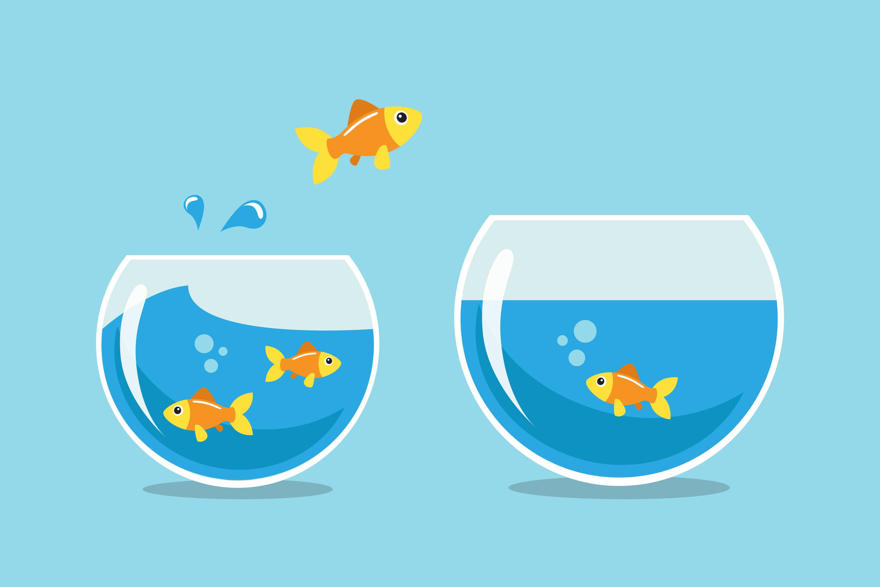 Golden fish jumping from one bowl to another 1261007 Vector Art at Vecteezy