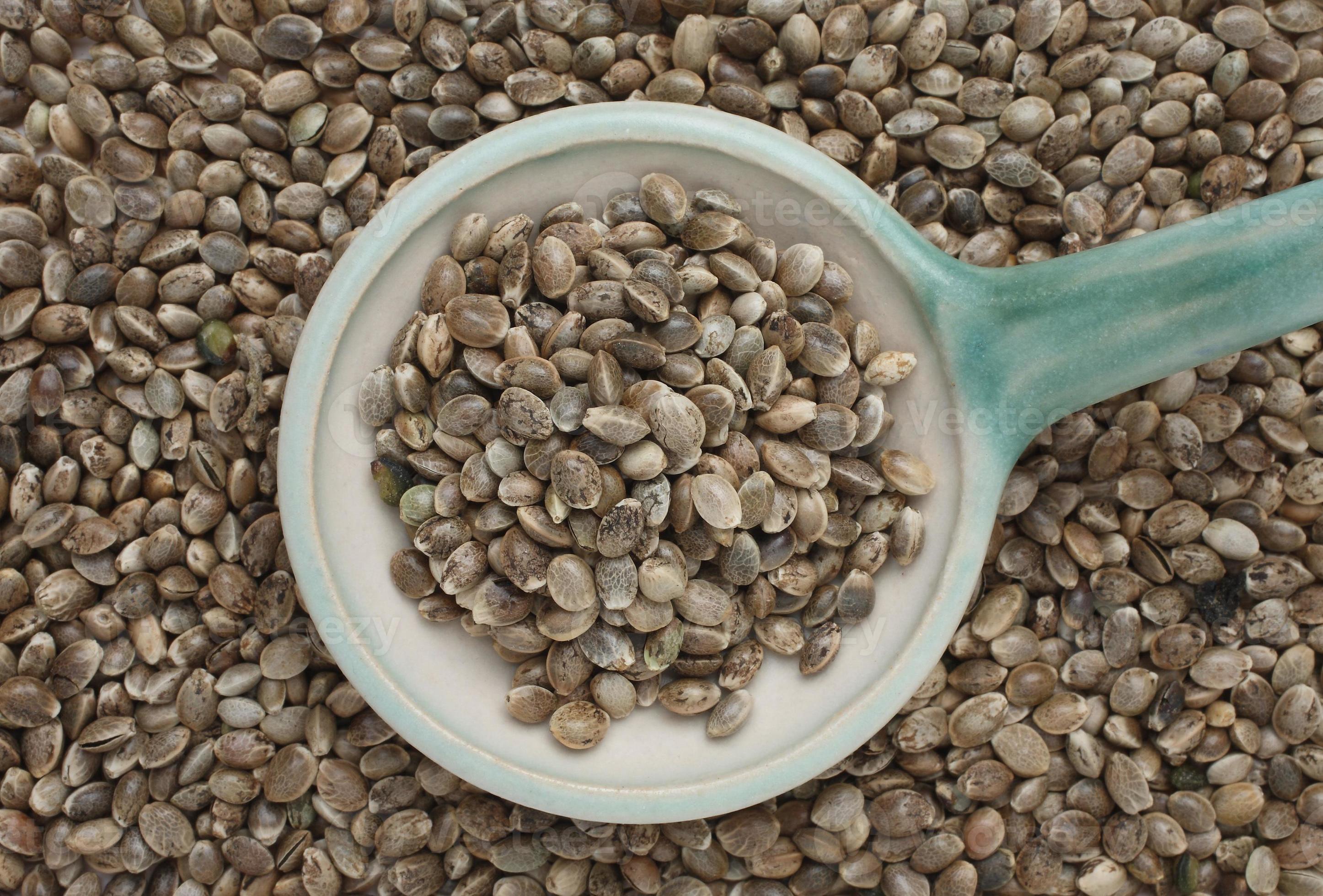 Hemp seeds or hemp nuts are a highprotein food source 1261198 Stock