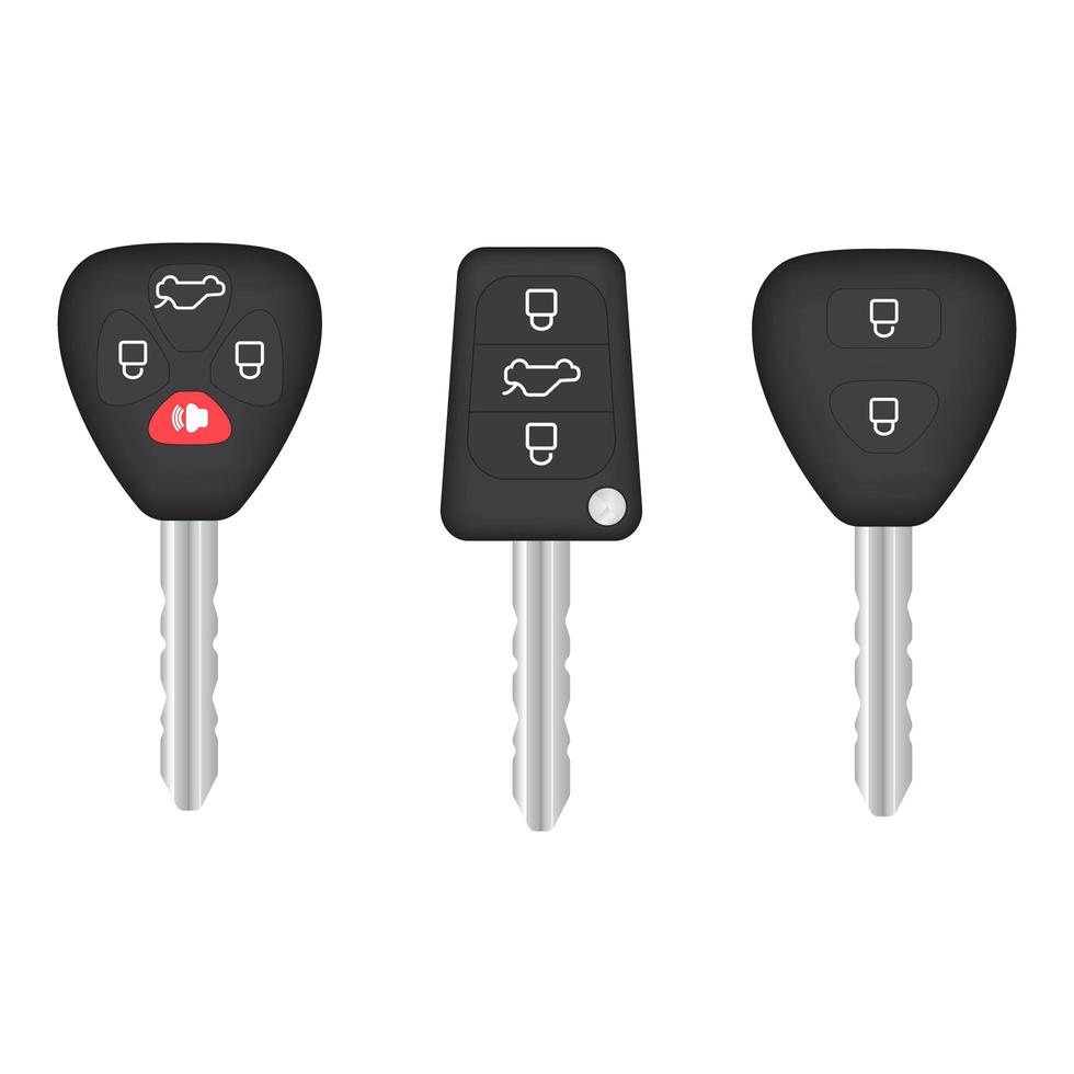 Car keys isolated  vector