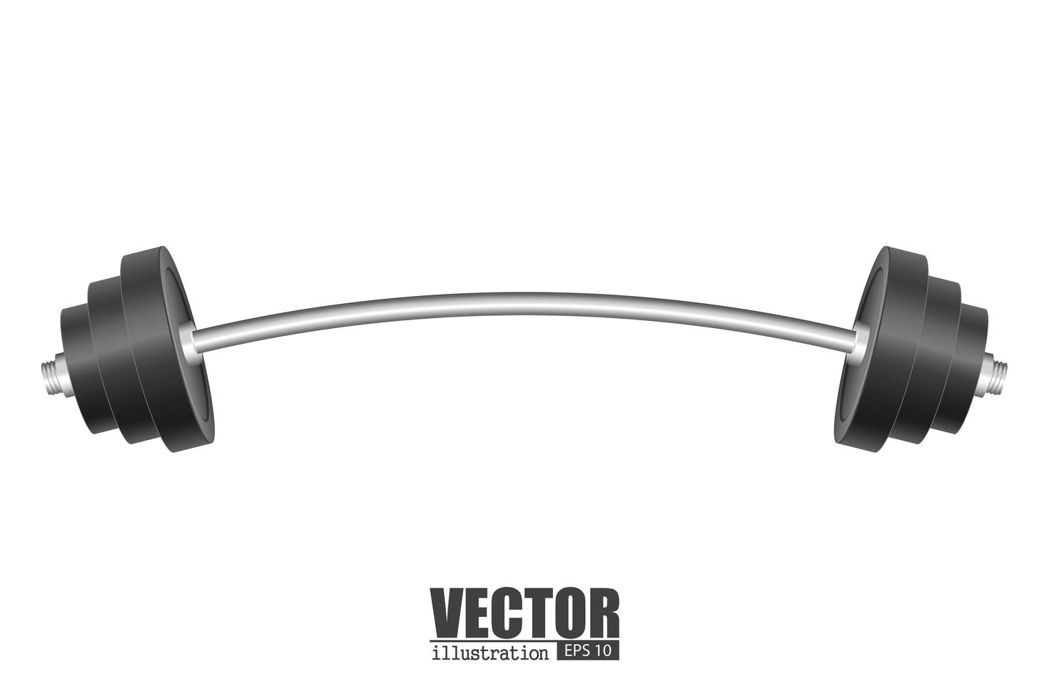 Barbell isolated on white vector