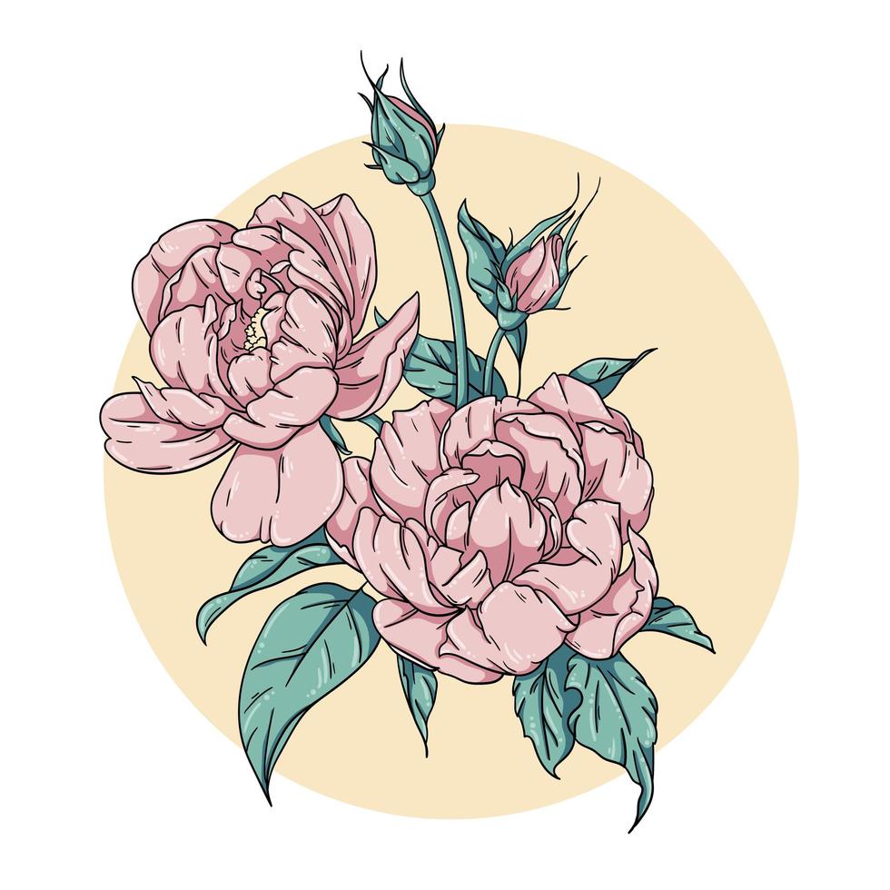 Peonies flowers with leaves vector