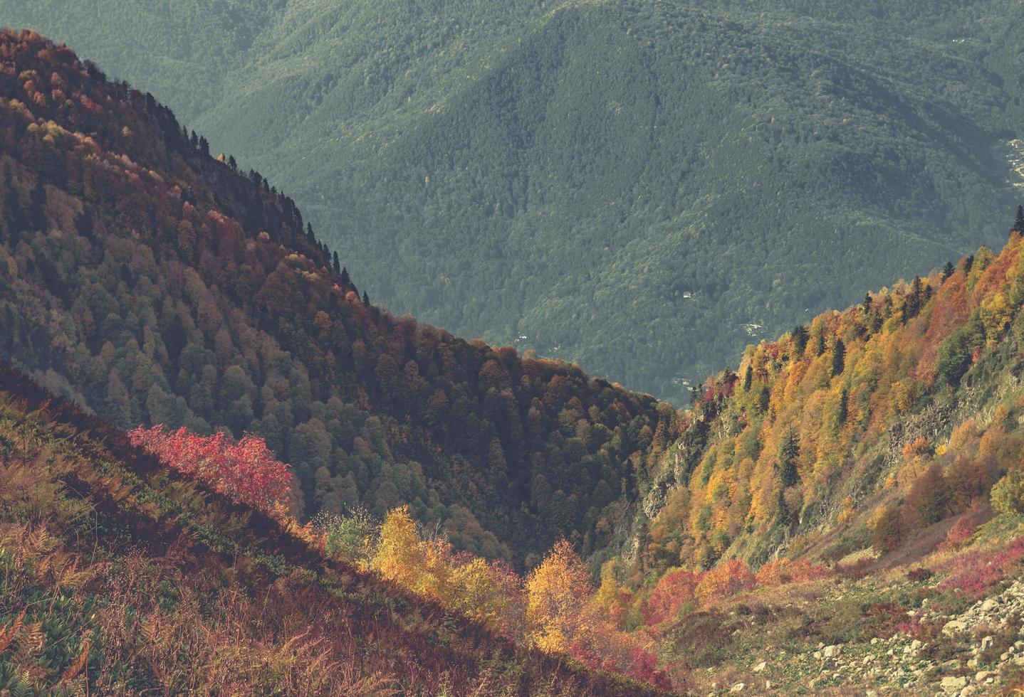 coloridas montañas en otoño foto