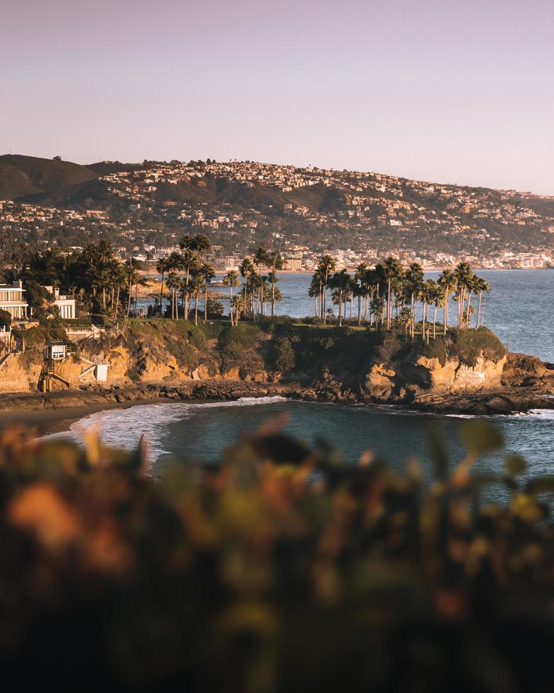 Seashore and mountain range photo