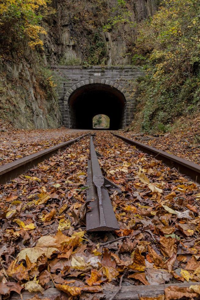 Vista vertical de las vías del tren y el túnel. foto