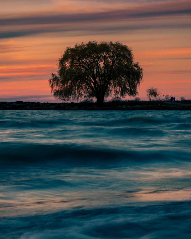 silueta de un árbol en la orilla foto