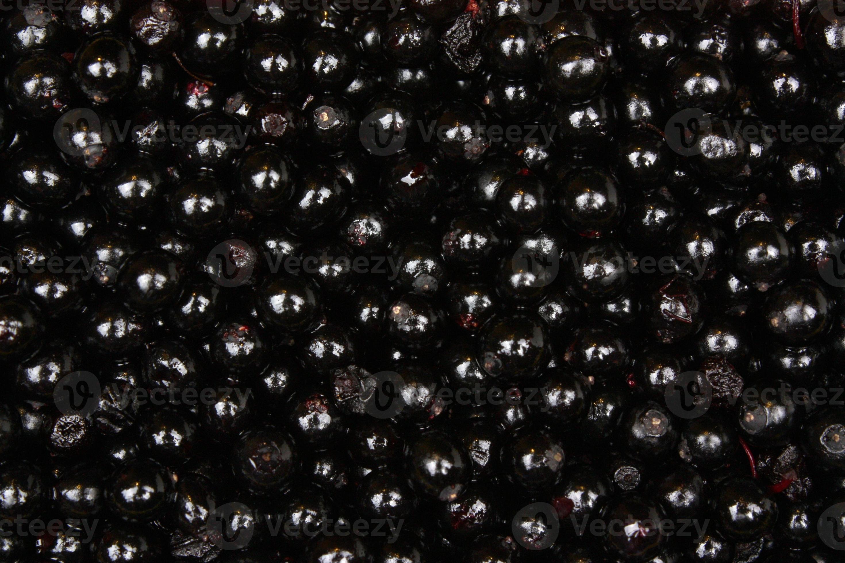 Elderberry background 1264468 Stock Photo at Vecteezy