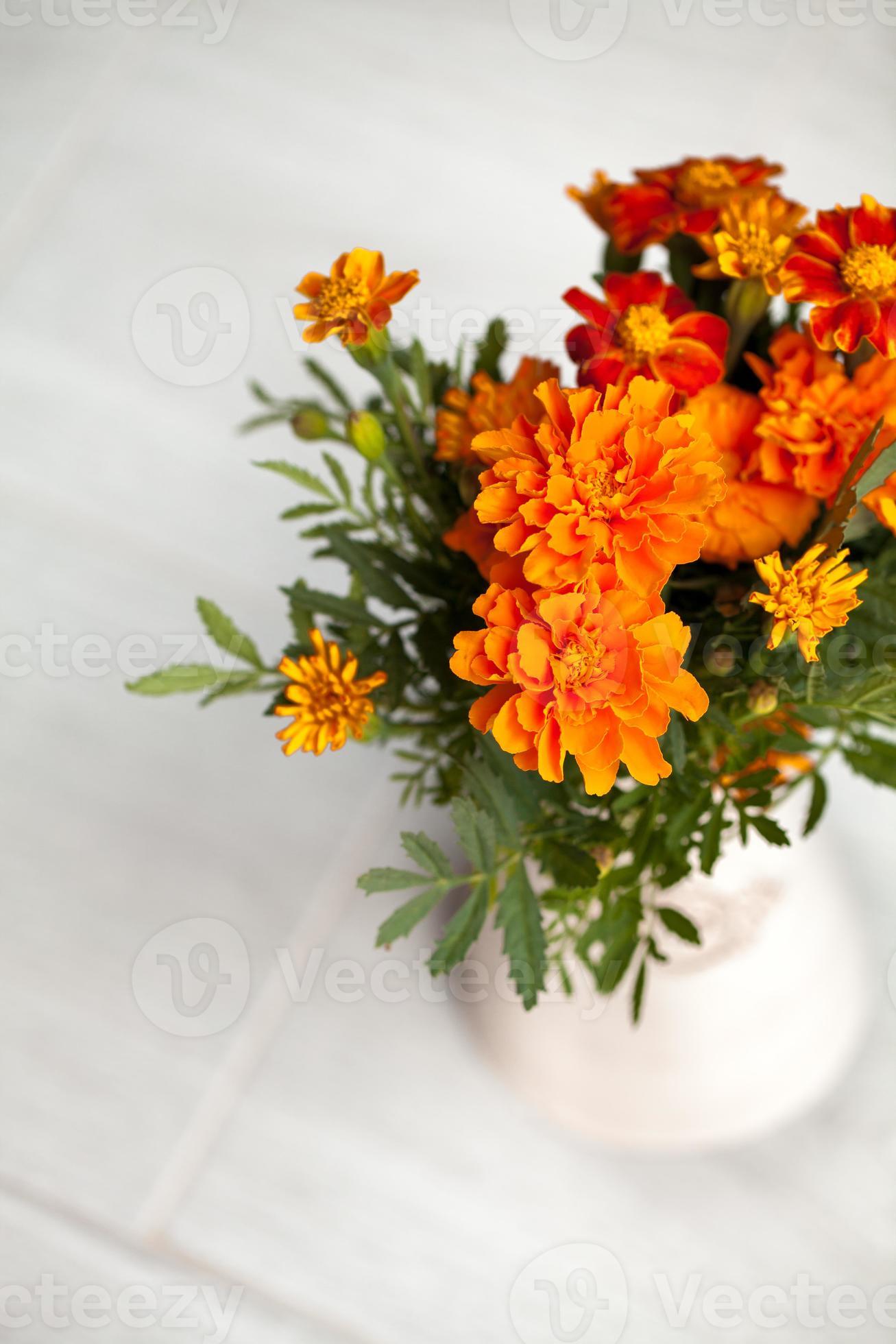 Marigolds flowers in vase on grey background 1264641 Stock Photo at