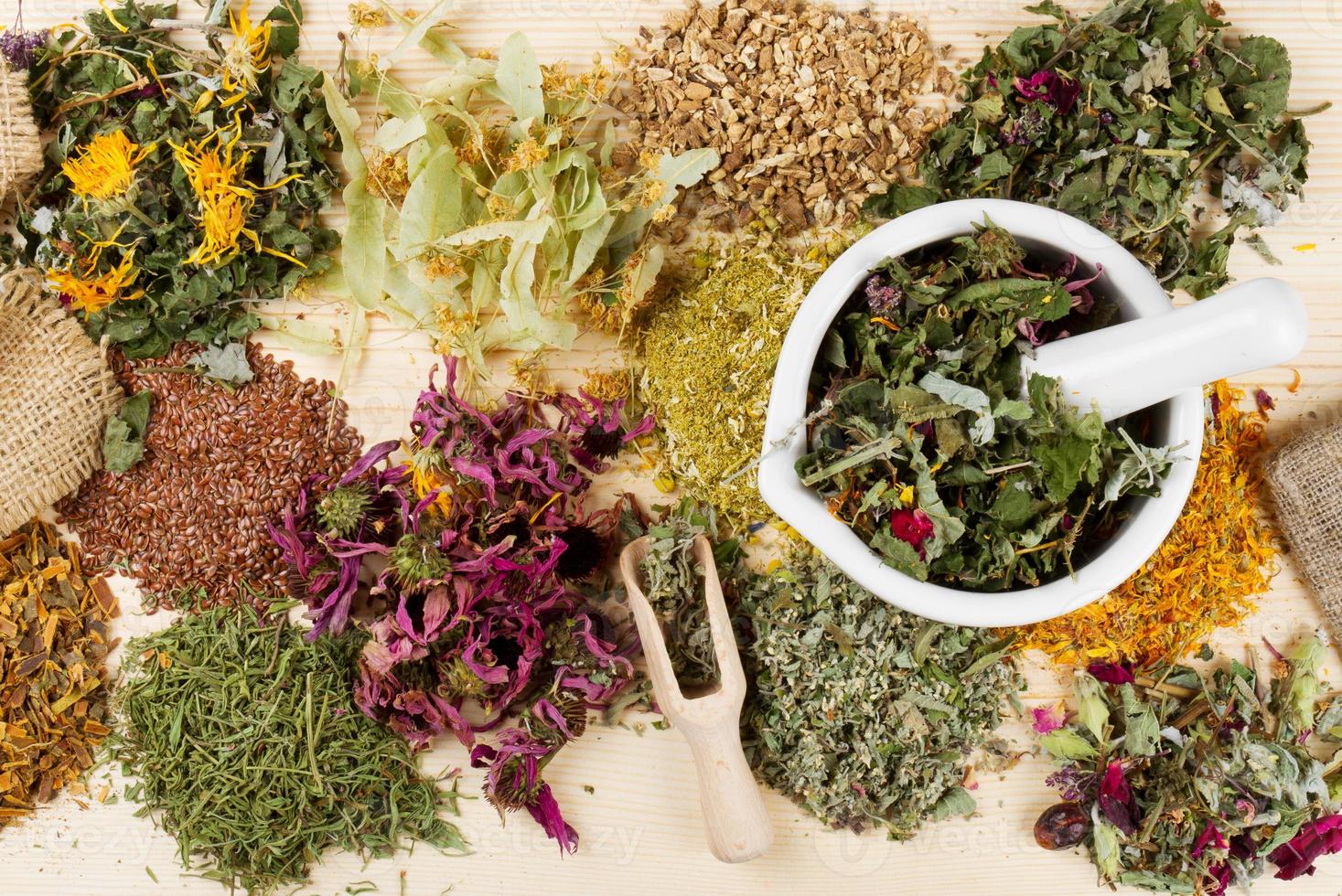 una variedad de hierbas curativas y mortero en la mesa foto