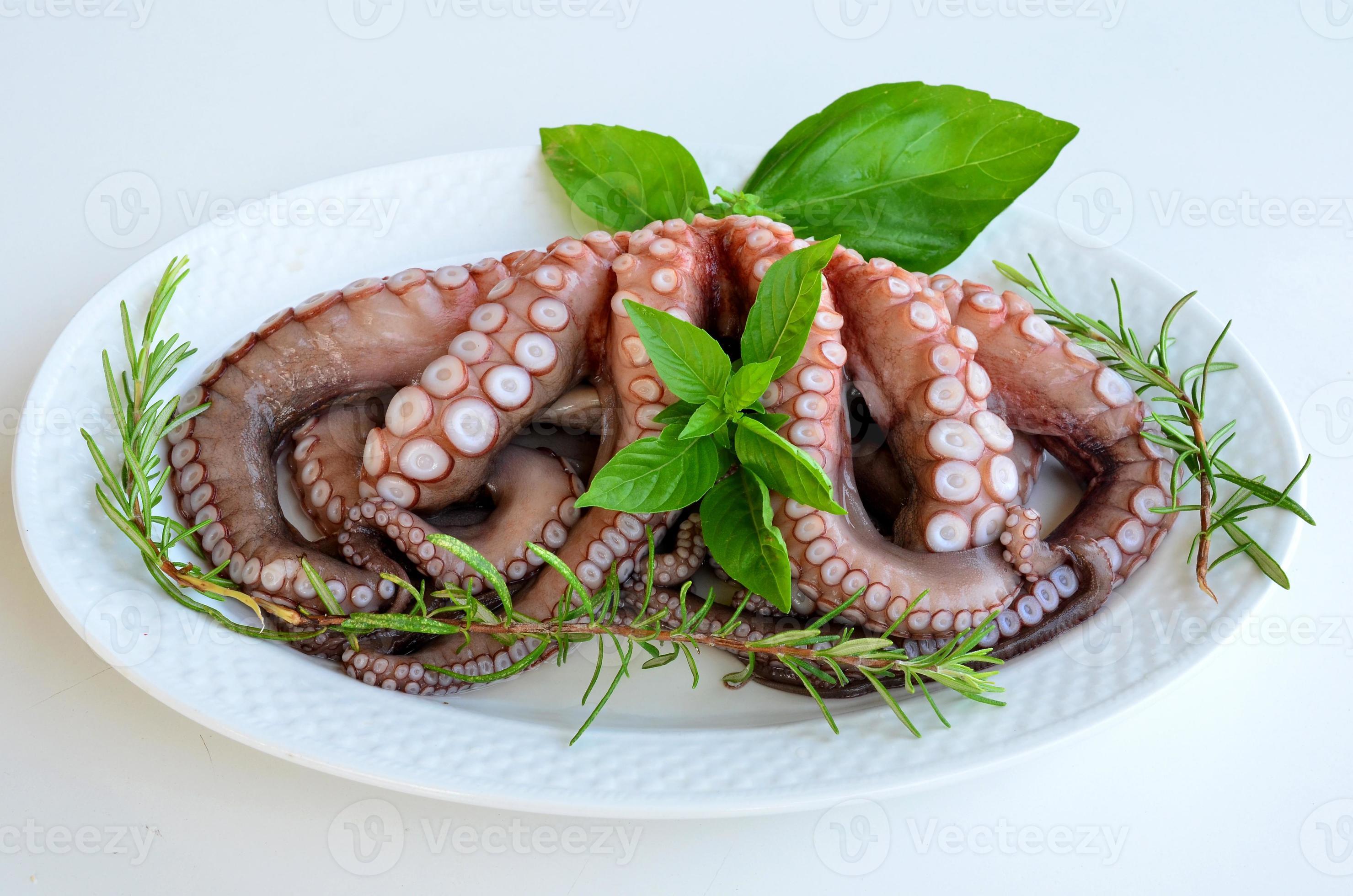 Fresh octopus 1265150 Stock Photo at Vecteezy