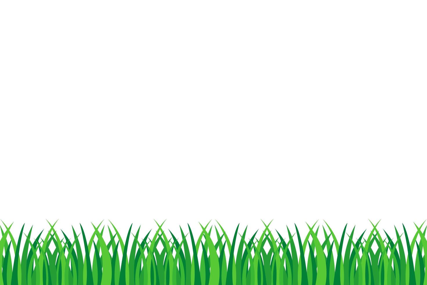 Green grass isolated  vector