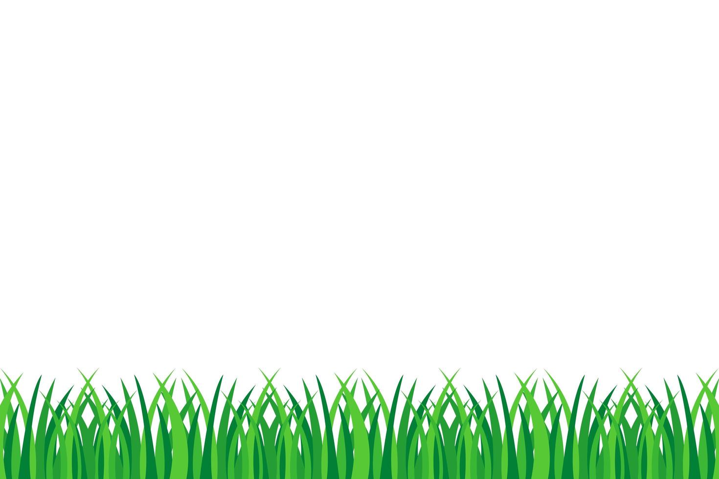 Green grass isolated  vector