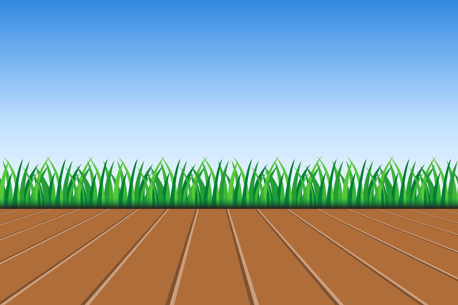 Background of green grass and blue sky  vector