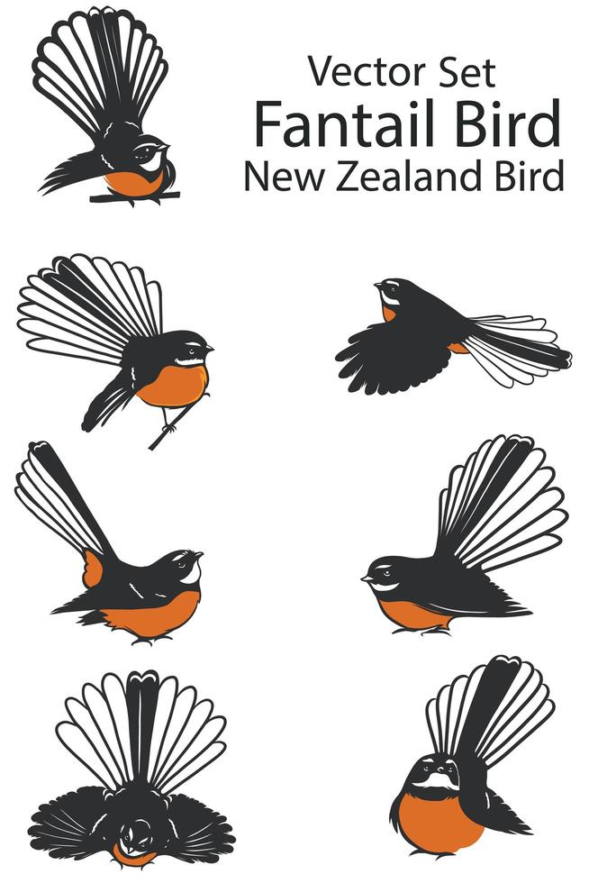 New Zealand fantail bird set vector
