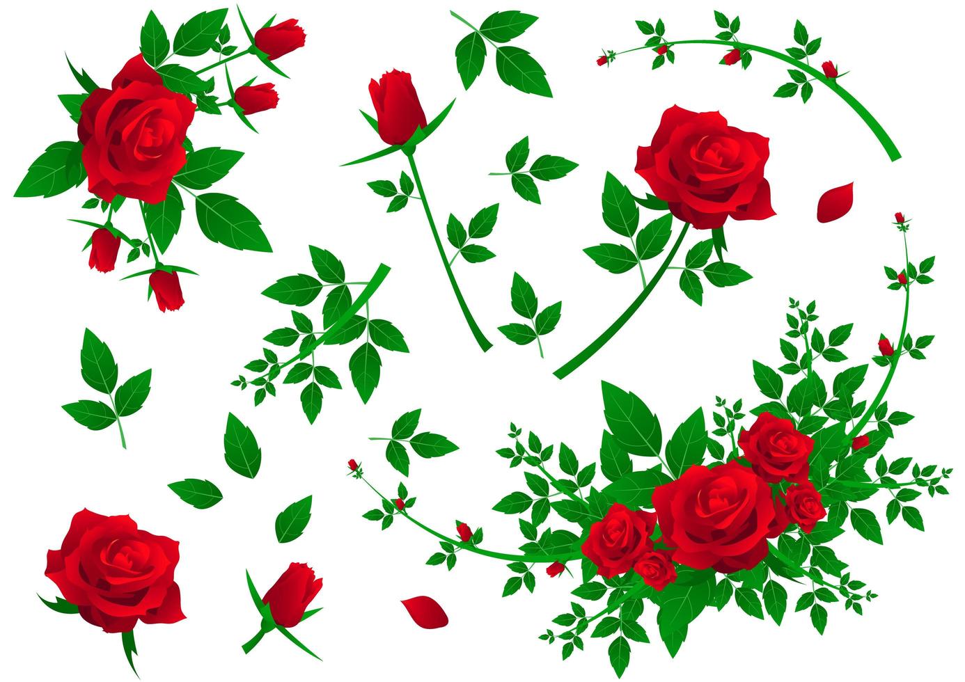 conjunto de rosas rojas vector