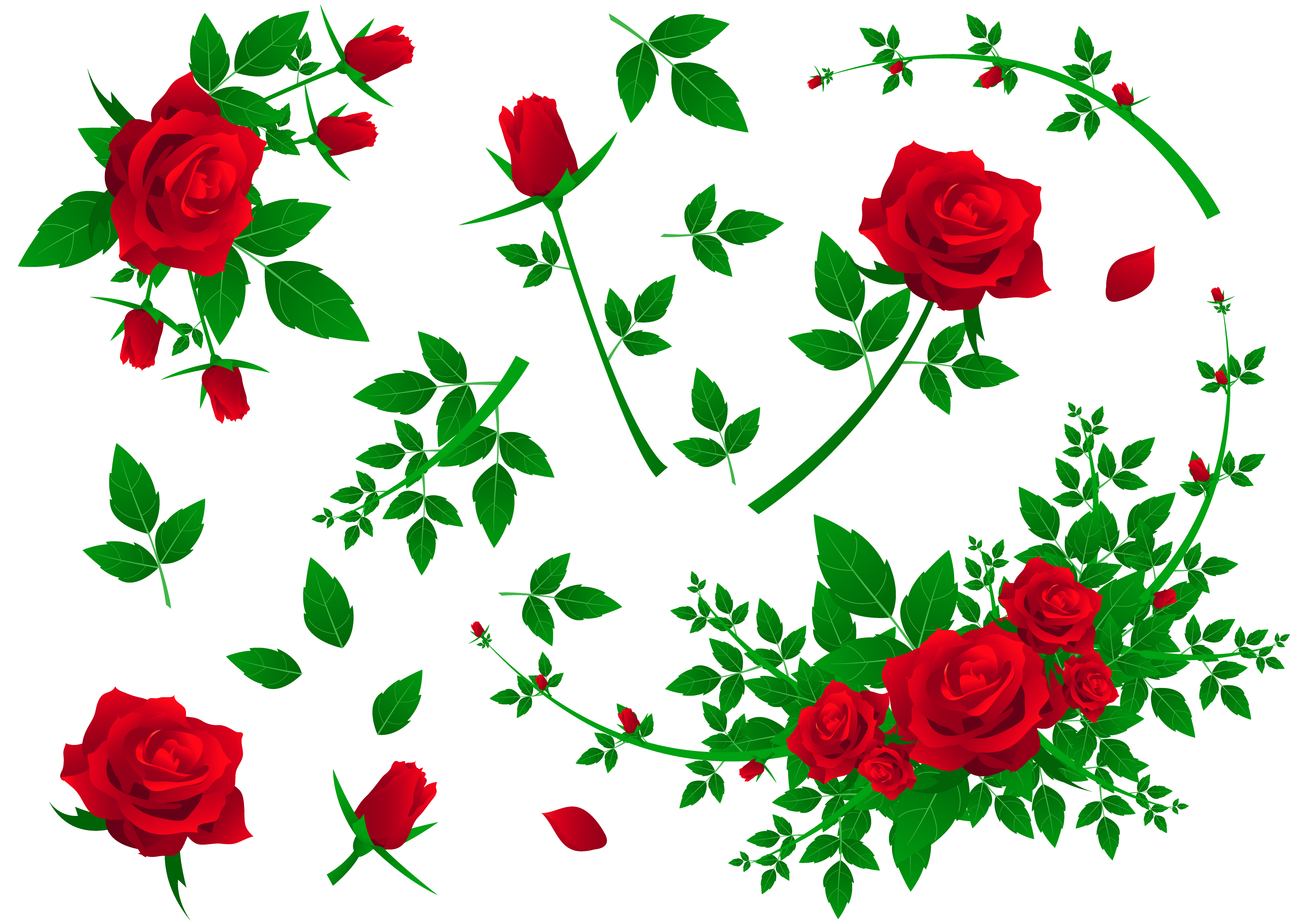 Rose Vector Illustration
 Rosa Vector Art Icons and Graphics for Free Download