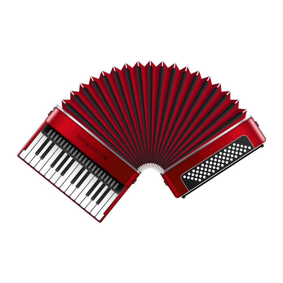 Beautiful realistic accordion vector