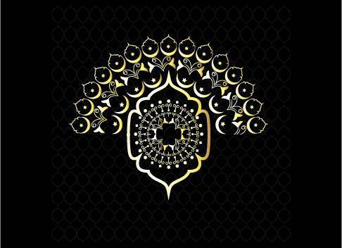 Decorative Luxury Islamic Raya Patterns Design  vector