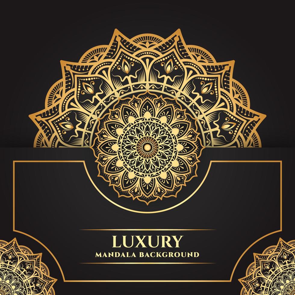 Luxury golden floral mandala card vector