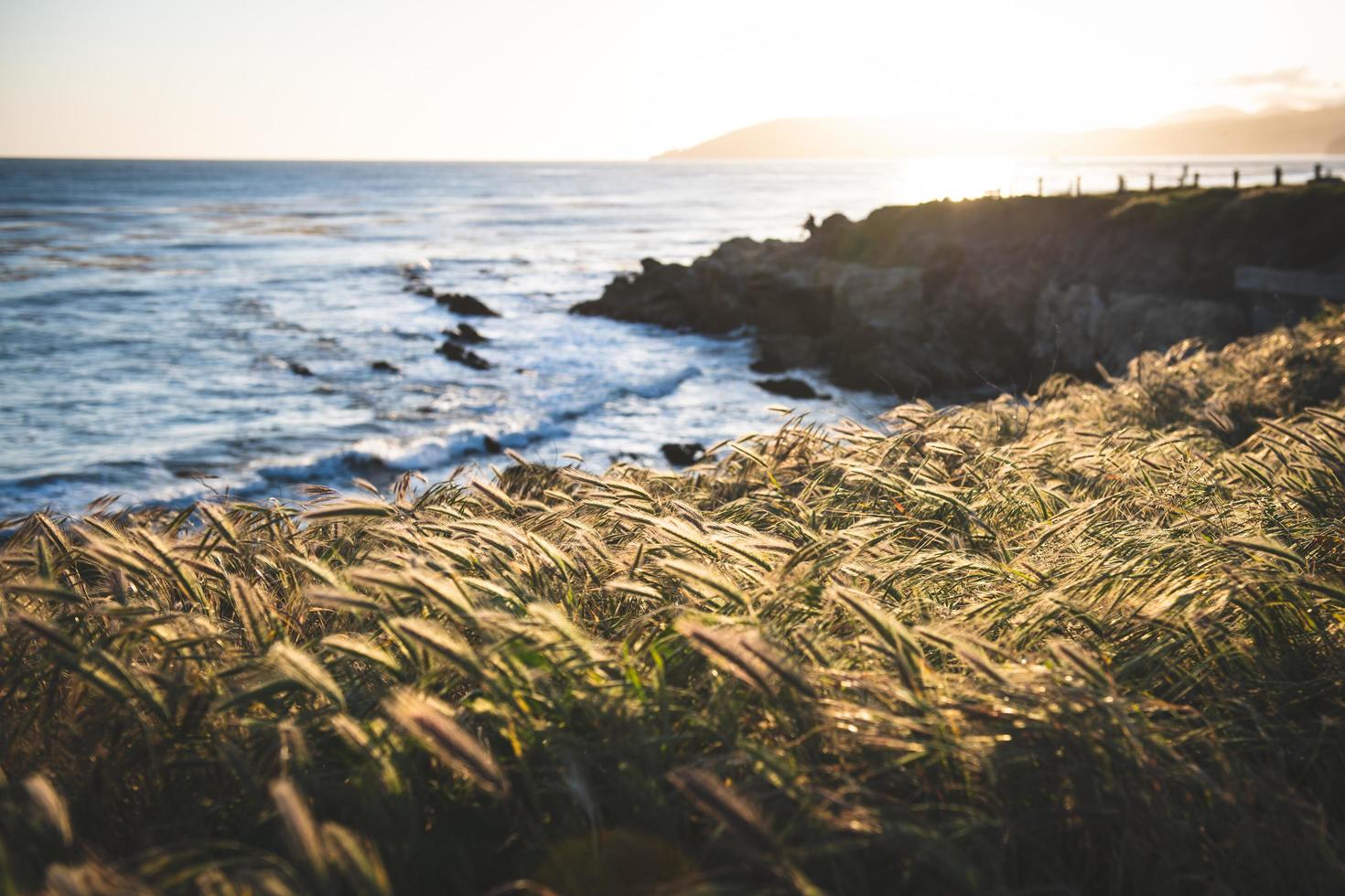 View of ocean from grassy coast photo