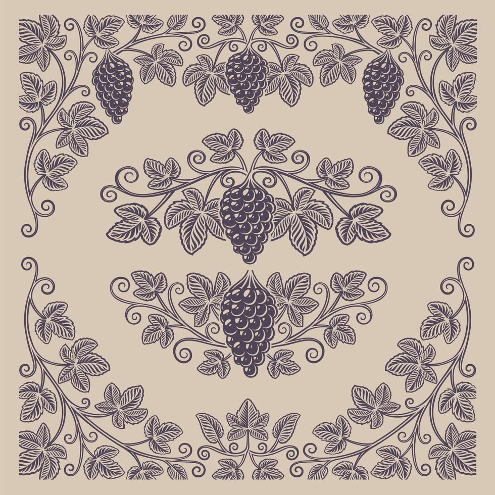 Set of vintage design elements of grape branches and borders vector