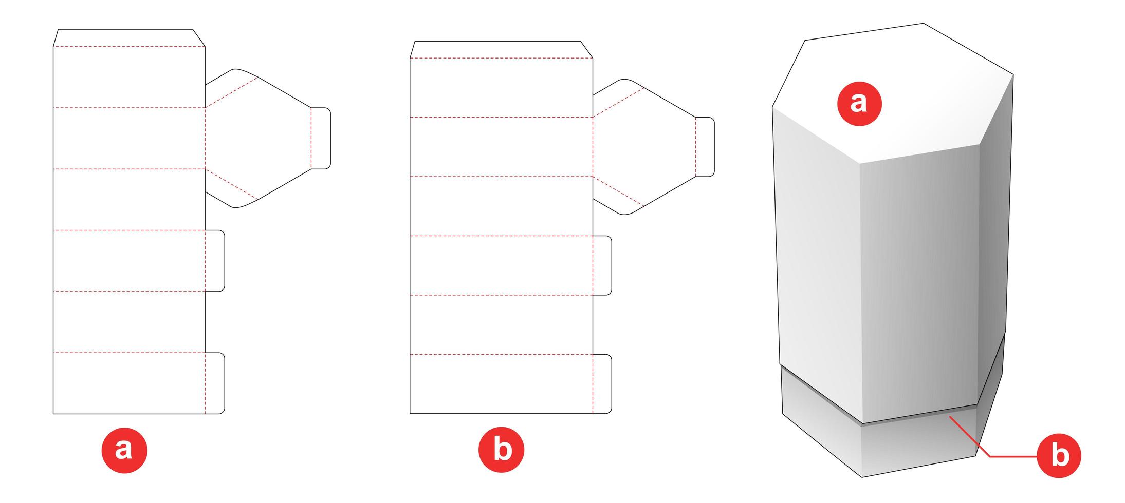 caja de botella hexagonal vector