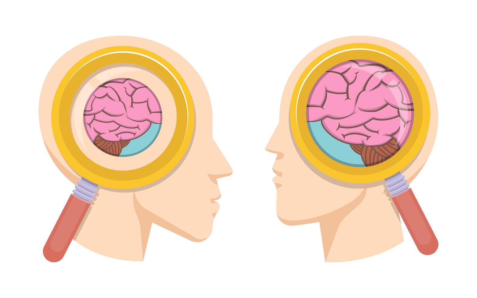 concepto de estudio del cerebro humano vector