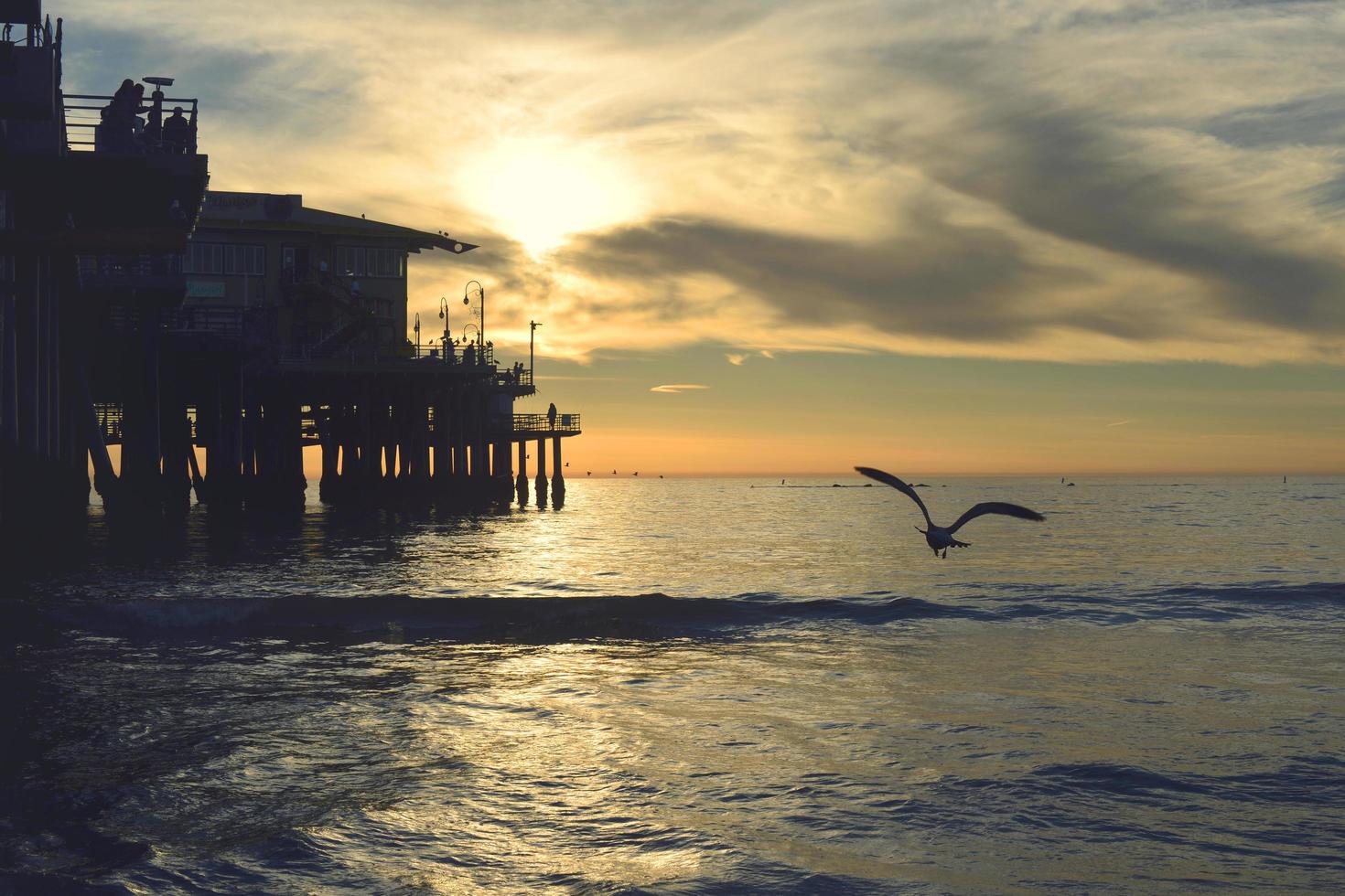 silueta de pájaro volando durante la puesta de sol foto