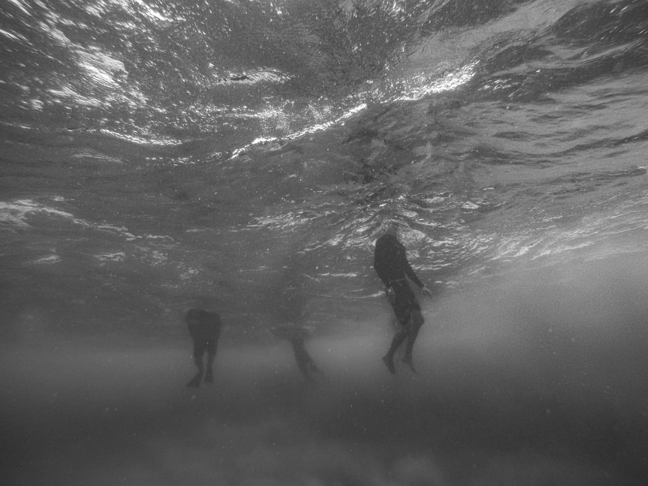 Grayscale photo taken underwater 