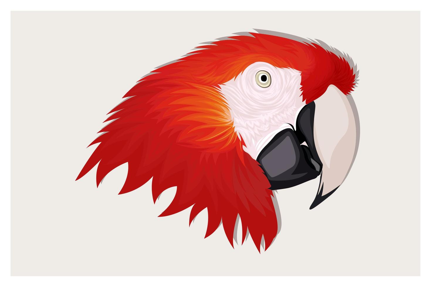 Realistic red parrots macaw vector