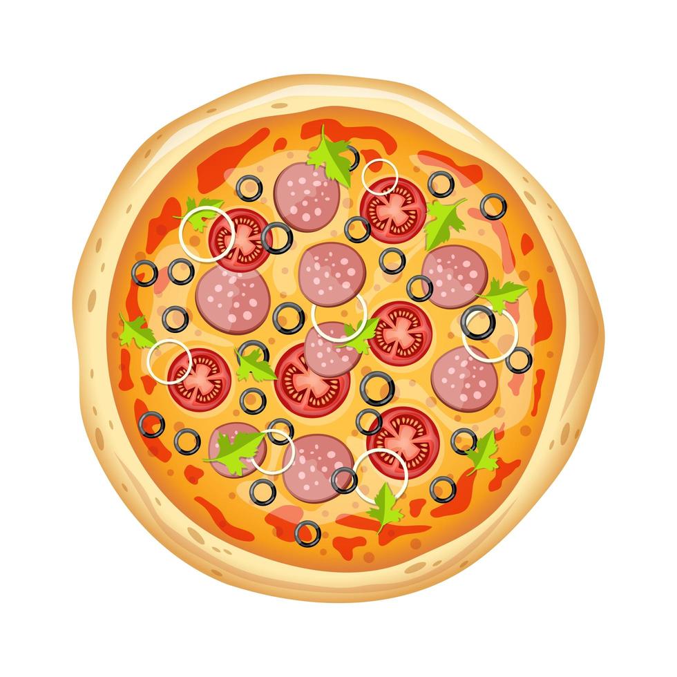 Delicious pizza isolated  vector