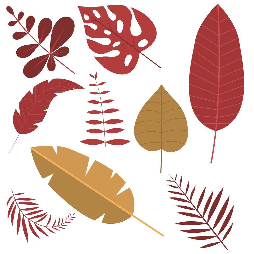 Tropical leaves isolated  vector
