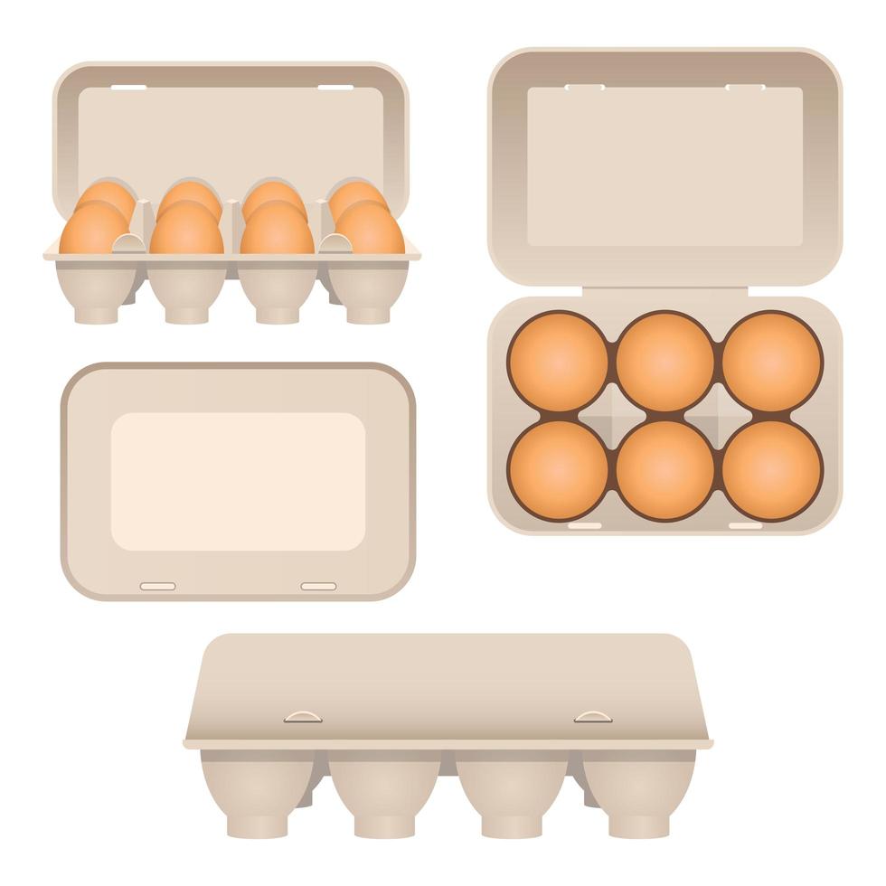 Chicken eggs in carton  vector