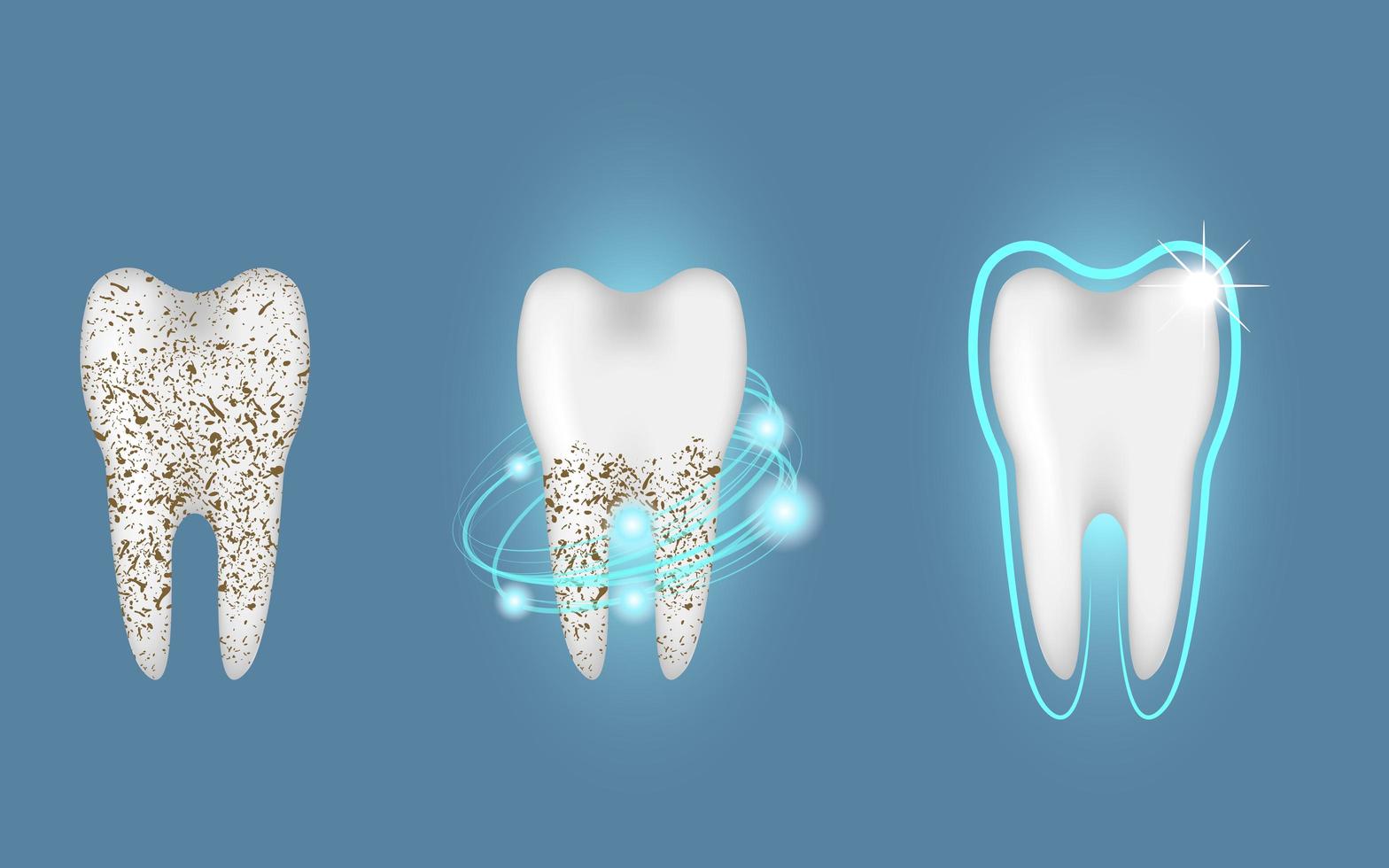 Clean and dirty tooth  vector