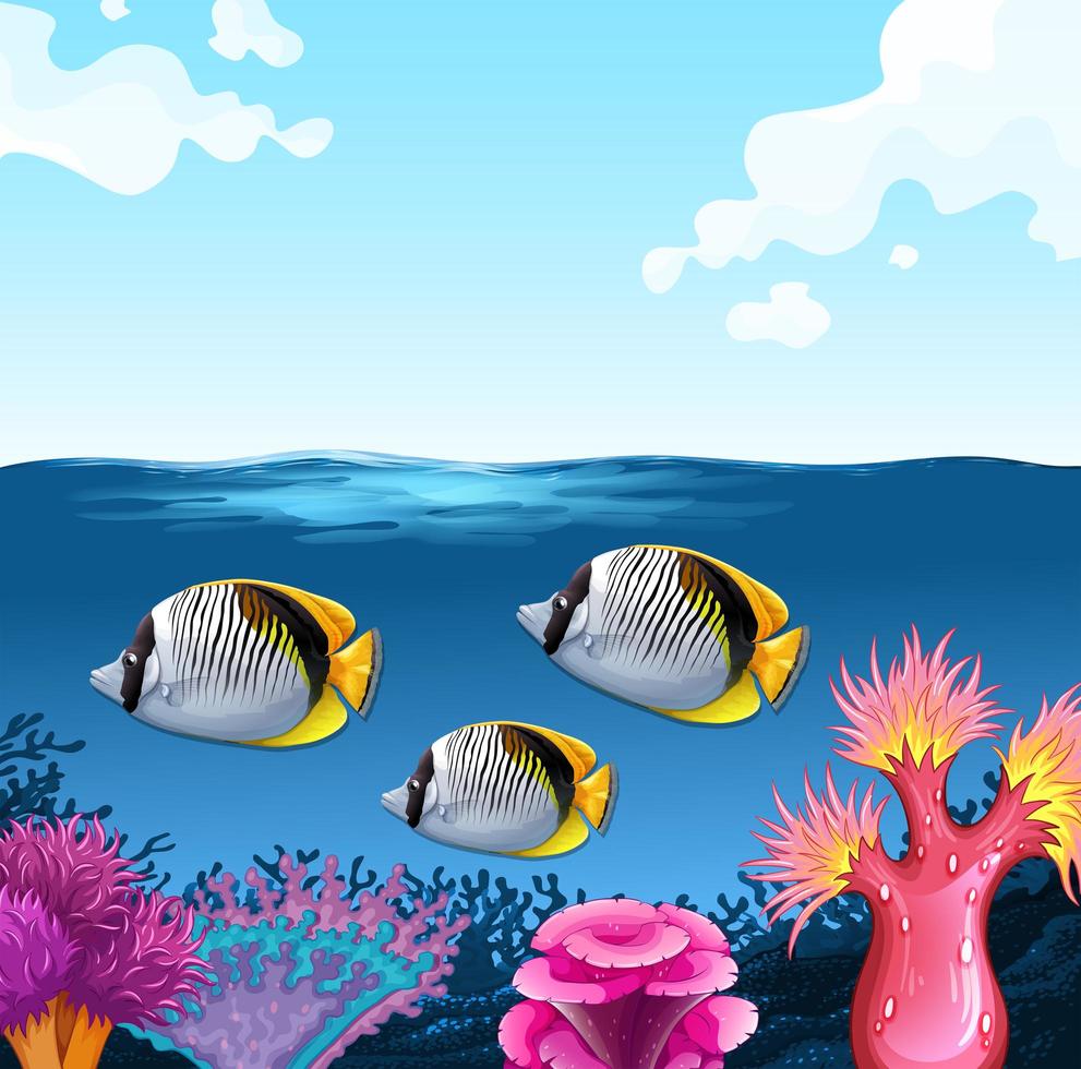 Three fish swimming under the ocean vector