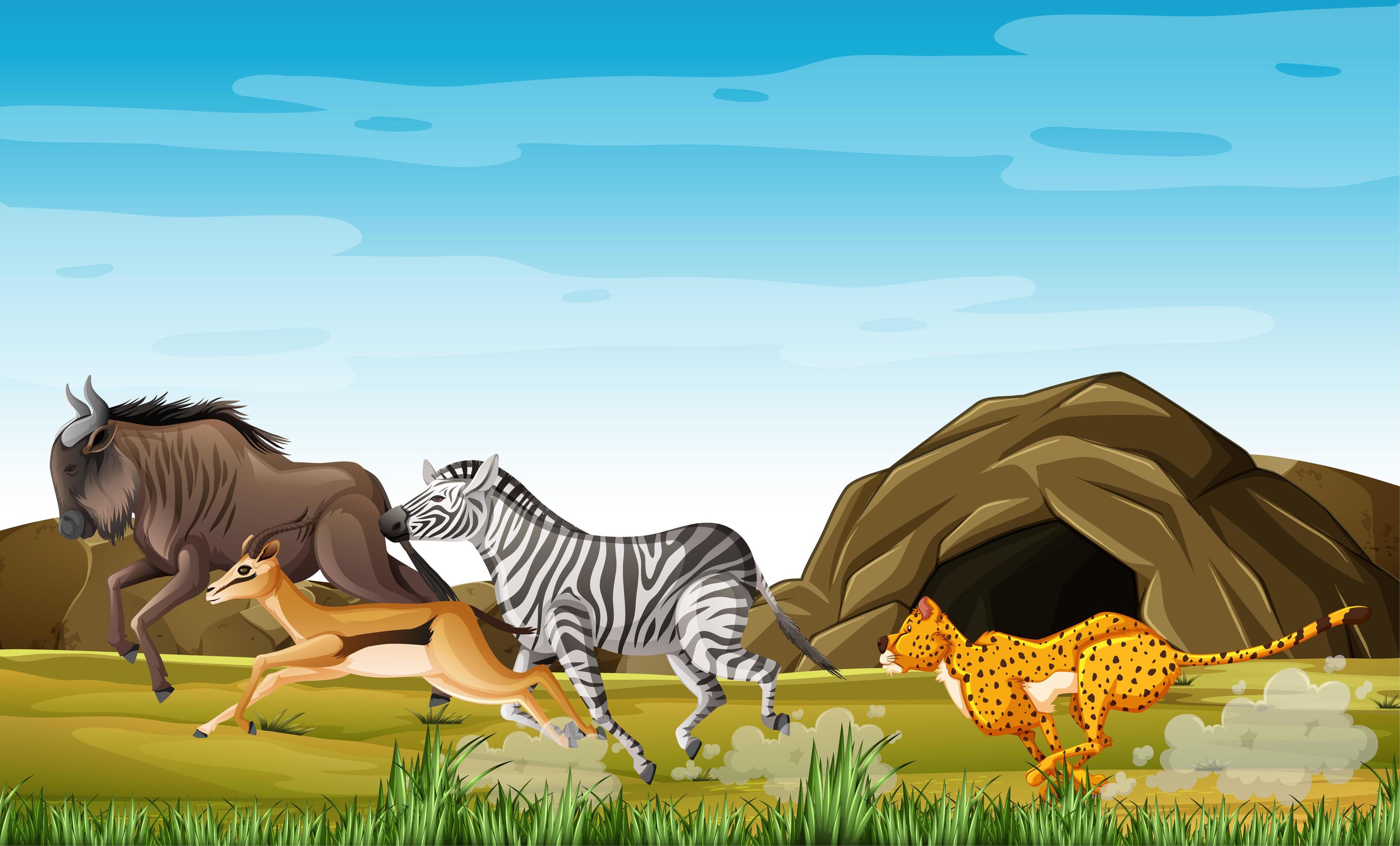 Leopard hunting animals 1268617 Vector Art at Vecteezy