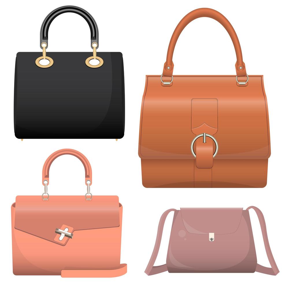 Lady bag isolated vector