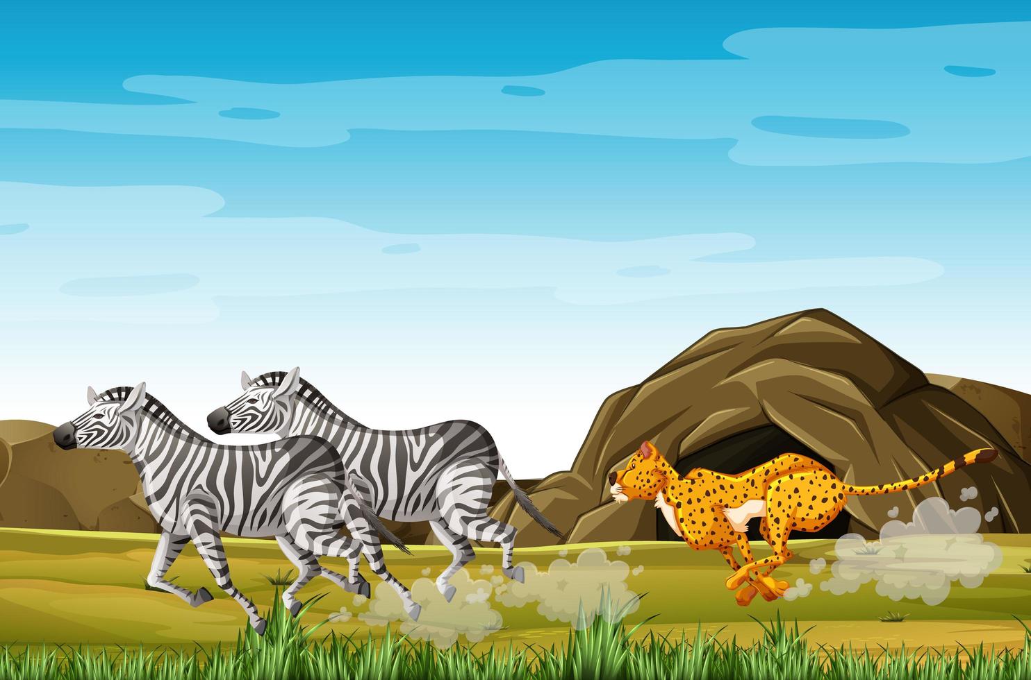 Leopard hunting zebras  vector