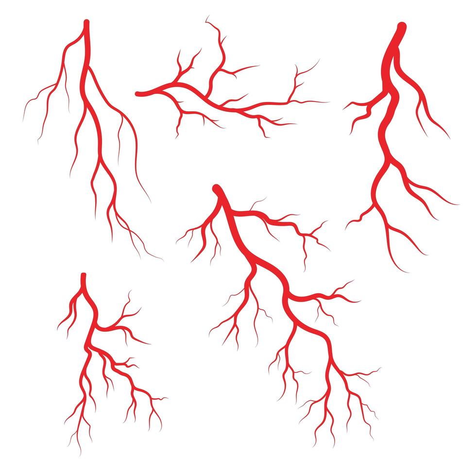 Human veins and arteries icon set vector