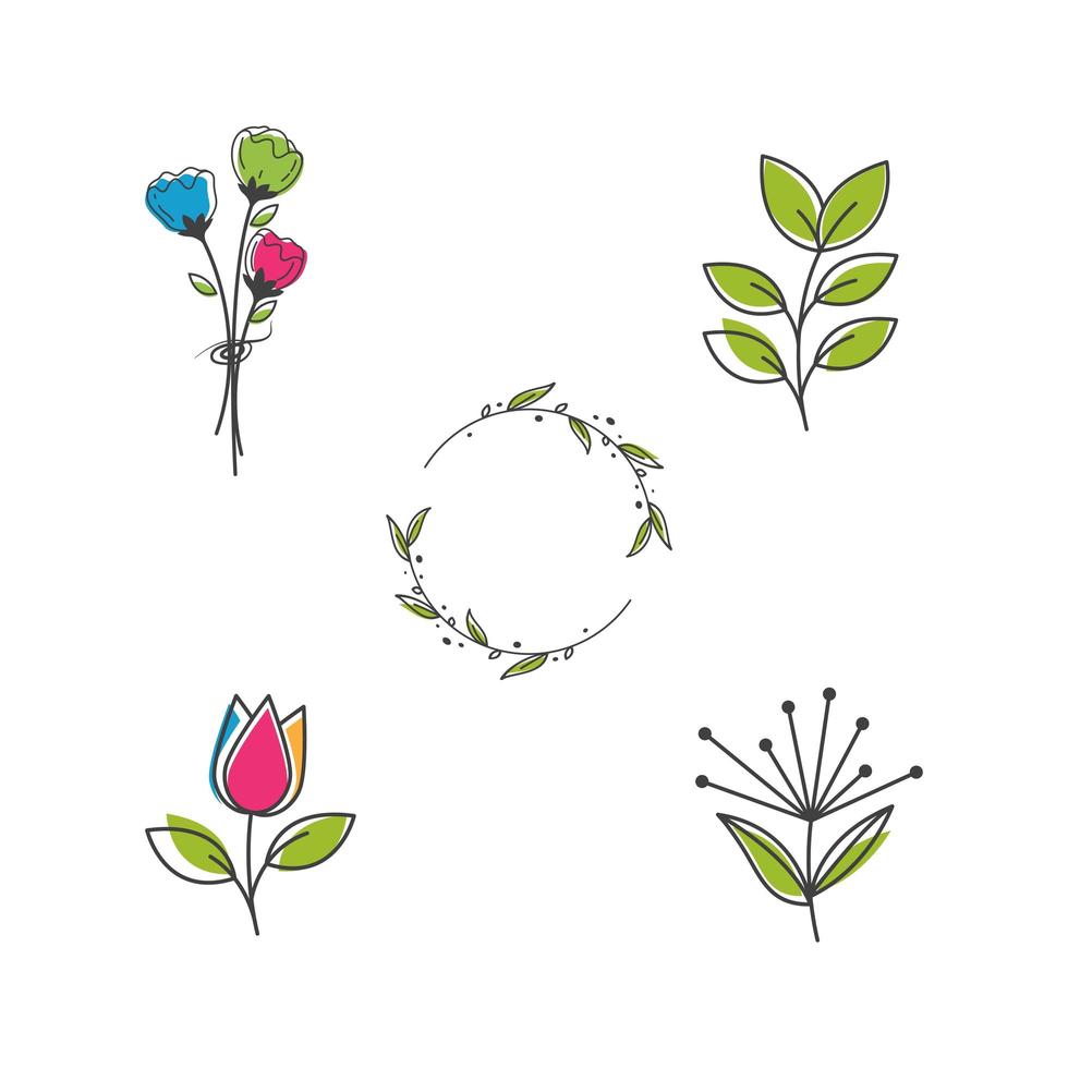 paquete de iconos de flores y follaje vector