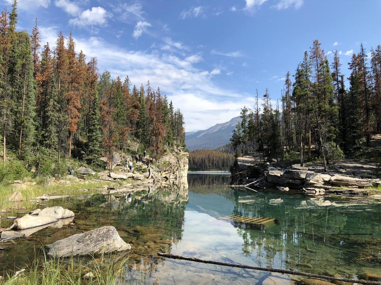 Landscape in the Jasper National Park photo