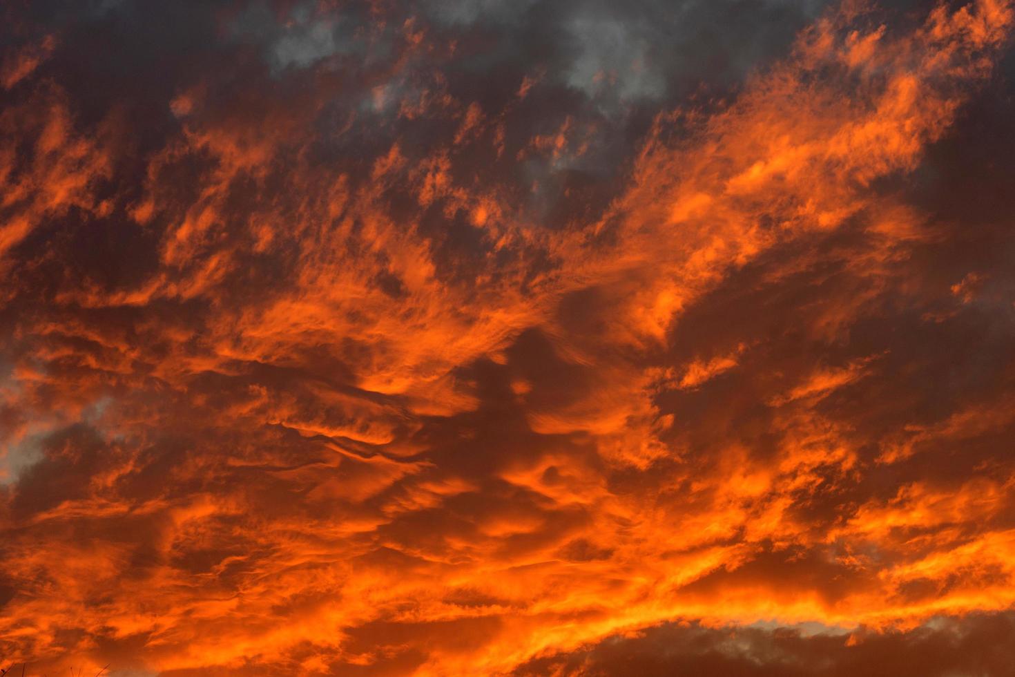 atardecer naranja y rojo foto