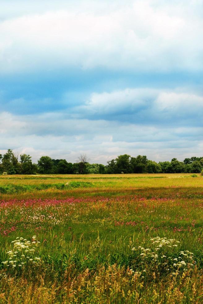 Colorful summer landscape photo
