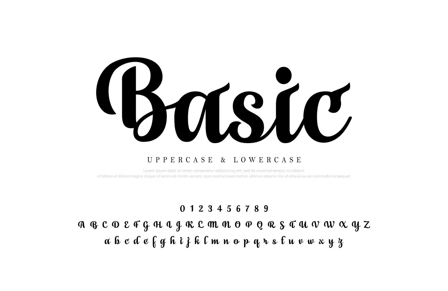 Classic script elegant alphabet letters set  vector