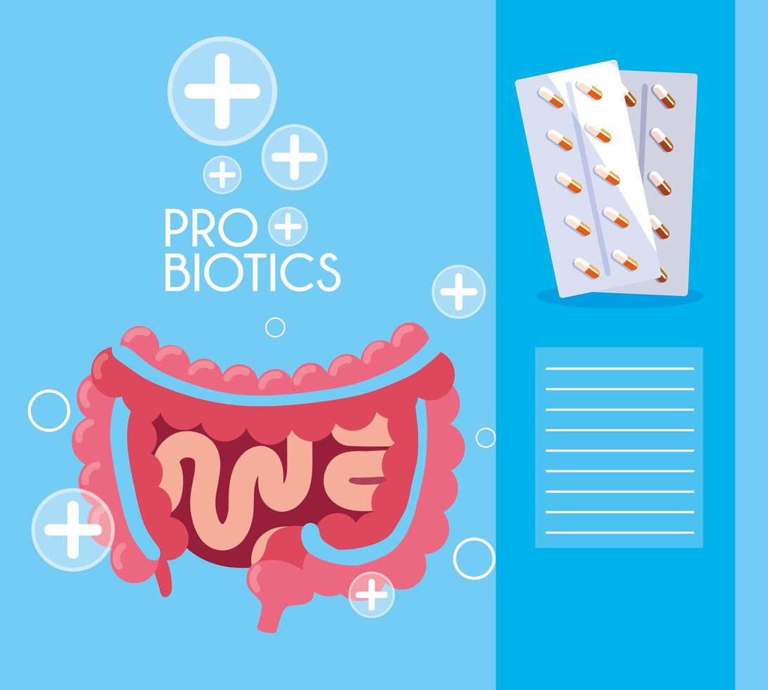 sistema digestivo con medicamentos probióticos vector