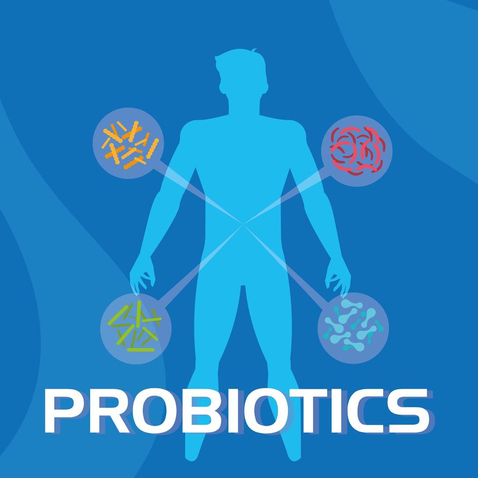 Probiotics information background vector