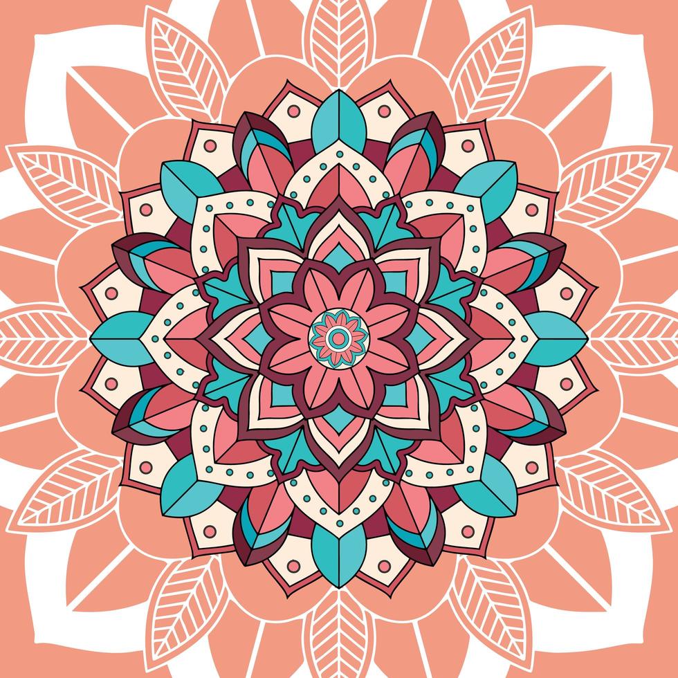 Mandala patterns on brown background  vector