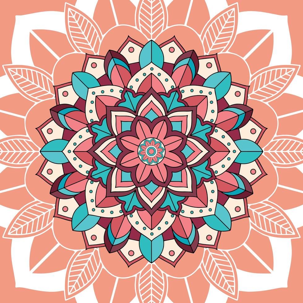 Mandala patterns on brown background  vector